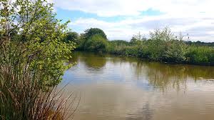 Image result for Penketh & Old Hall Angling Society