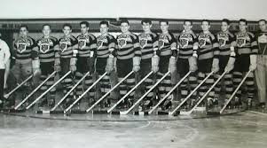 Image result for Team-Tigers Roller Hockey Club