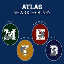 Image result for South Axholme Sharks Asc