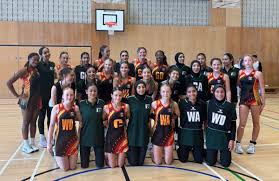 Image result for Mk Netters Netball Club