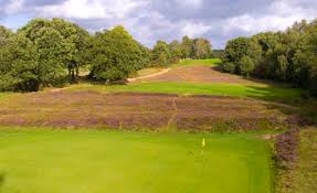 Image result for Crowlands Heath Golf Club