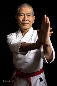 Image result for Ji Shin Do Karate