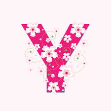 Image result for    [     @  Y