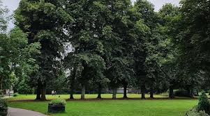 Image result for Gosforth Central Bowls Club