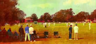 Image result for Methley Cricket Club