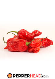 Afbeeldingsresultaat voor red fratali hot pepper
