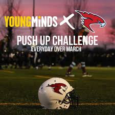 Image result for Ukc Falcons