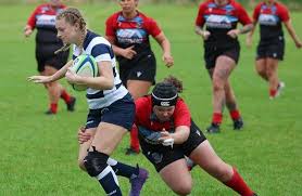 Image result for Stewartry Rugby Football Club