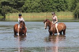 Image result for Chobham and District Riding Club