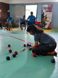 Image result for Well Being and Leisure Team (Boccia)