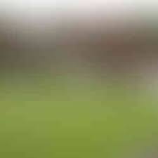 Image result for Southwater Bowls Club