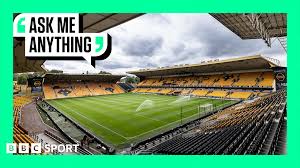 Image result for Molineux Netball Club