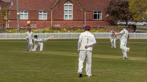 Image result for Wembdon Cricket Club
