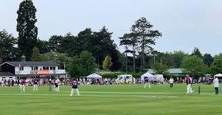 Image result for Luton Caribbean Cricket & Social Club
