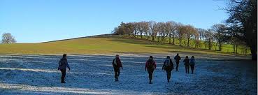 Image result for Mid Surrey Ramblers