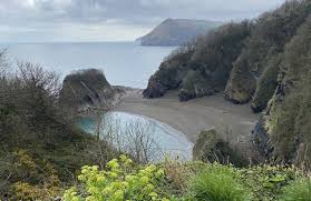 Image result for Ilfracombe & N Devon