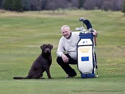 Image result for Cowal Golf Club