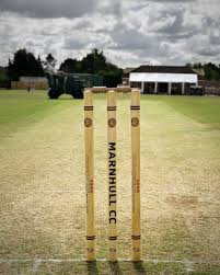 Image result for Marnhull Cricket Club
