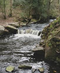 Image result for Swanage & District Angling Club