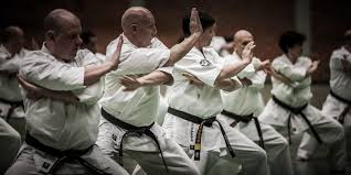 Image result for Katakuri Karate
