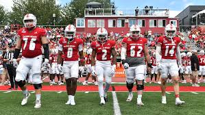 Image result for Hamilton Panthers Association Football Club