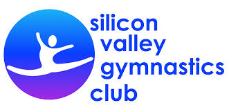 Image result for Valiant Gymnastics Club