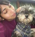 Busco perrita mestiza poodle perdida en La Pintana | Natalia Muñoz Castillo - 386626_10150477208604666_689834665_8321711_674296098_n.-b
