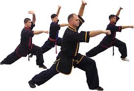 Image result for Martial Art Centre of Excellence