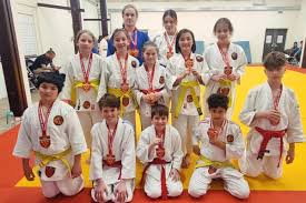 Image result for Redbridge Judo Club
