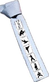 Image result for Sokudo Martial Arts Club