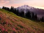 Glacier Peak : Climbing, Hiking &amp; Mountaineering : SummitPost