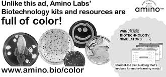 Attēlu rezultāti vaicājumam “Reticularia jurana spores”