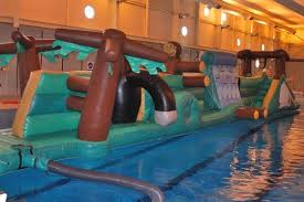 Image result for Stevenage Swimming Club