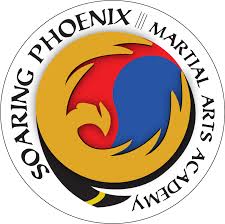 Image result for Phoenix Martial Arts