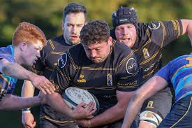 Image result for Winchester Rugby Football Club Ltd