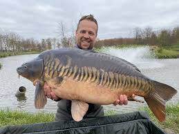 Image result for vissen