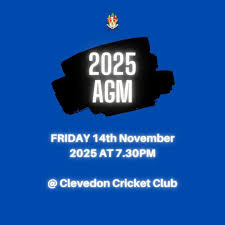 Image result for Clevedon Cc