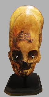 Image result for elongated skulls