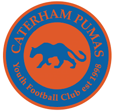 Image result for Milford Pumas Football Club