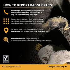 Image result for Lanreath Smbc