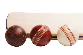 Image result for Bat Sports Cricket Club