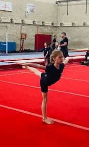 Image result for Arabian School Of Gymnastics, Milton Keynes