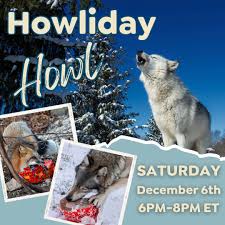 Image result for Weston Rhyn Wolves