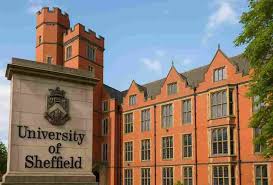Image result for Sheffield University