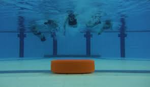 Image result for Sheffield Octopush Club