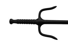 Image result for Sai Martial Arts