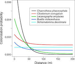 Attēlu rezultāti vaicājumam “Cliostomum corrugatum”
