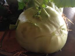 Image result for noma mad