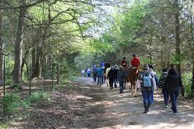Image result for Greenways Riding Stable Lower Eashing