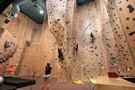 Image result for Intensive Training Group Northampton